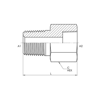 Male NPT x Female NPT Straight Expander, Stainless Steel - HTX Fluid Power