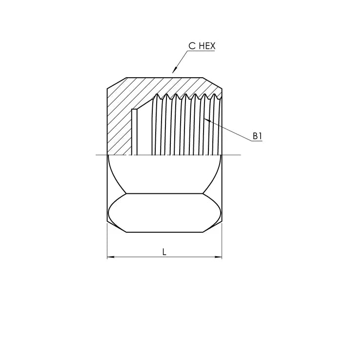 SS-0304-C-08 | 08 JIC Cap Nut, Stainless Steel - HTX Fluid Power