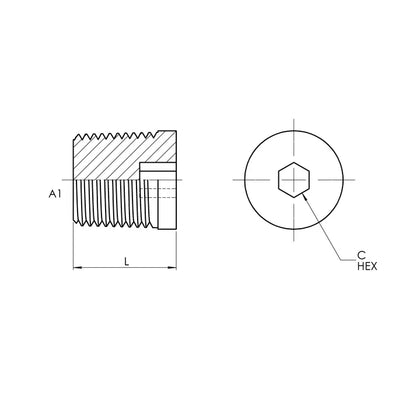 16 Hollow Hex Pipe Plug, Stainless Steel