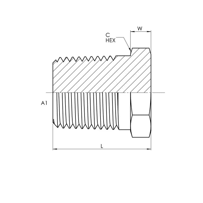24 External Hex Pipe Plug, Stainless Steel