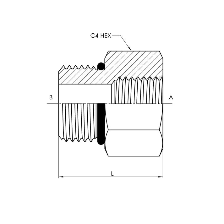 12 MORB - 08 FP Straight, Stainless Steel