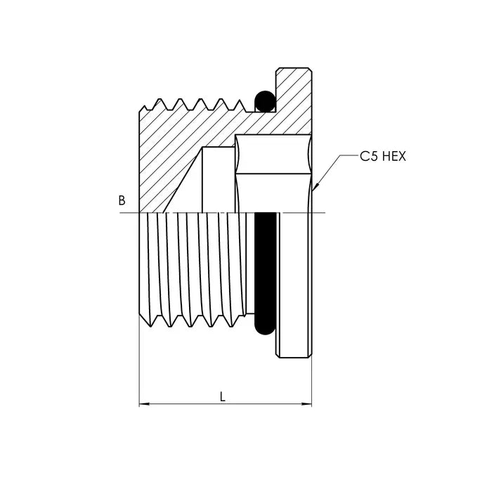05 MORB Hollow Hex Plug, Carbon Steel - HTX Fluid Power