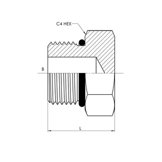 SS-6408-12 | 12 MORB External Hex Plug, Stainless Steel - HTX Fluid Power