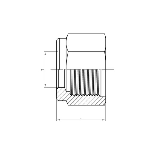 SS-C0318-12 | 12 Compression Nut, Stainless Steel